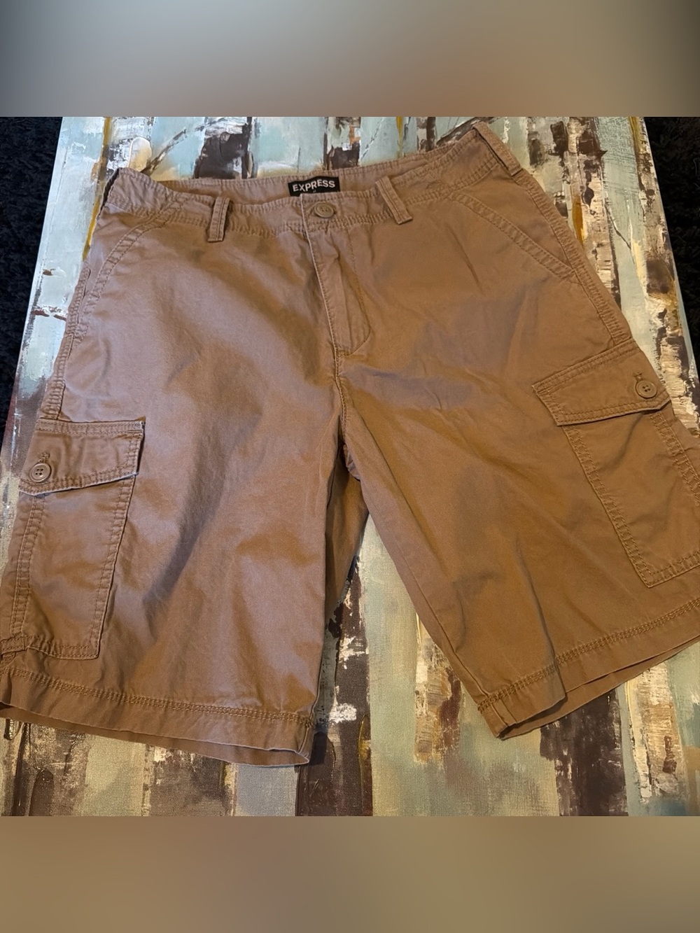 Express Cargo Shorts, Men’s 30”